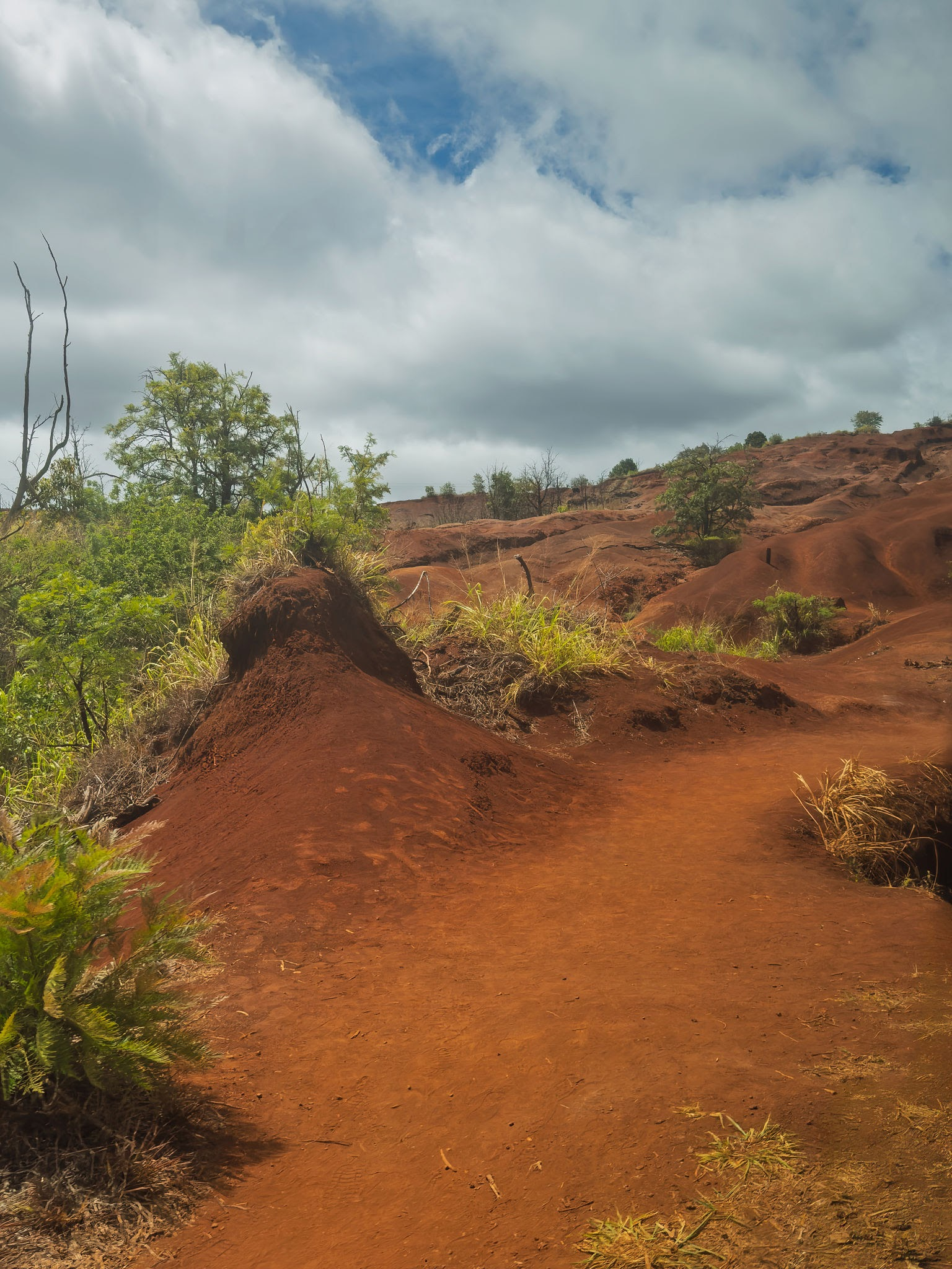 How Island Environment Affects Your Power Tools (And How to Protect Them) - image 02